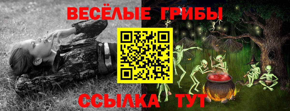 Галлюциногенные грибы мухоморы Холмск