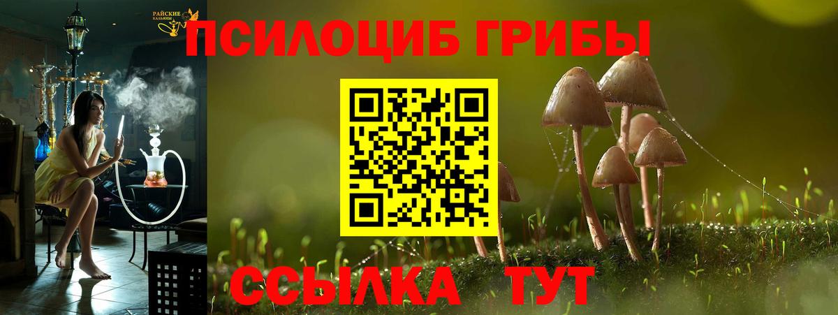 Холмск  Галлюциногенные грибы Psilocybe  купить наркоту  Вход с VPN  Псилоцибиновые грибы прущие грибы 